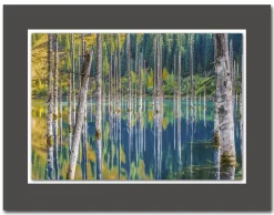 Acrylglasbild DAVID KÖSTER