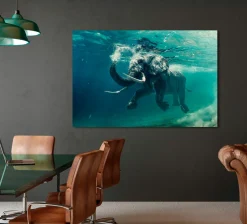 Acrylglasbild ELEFANT