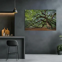 Acrylglasbild FASZINATION BAUM