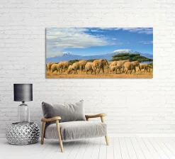 Akustikbild ELEFANTENFAMILIE