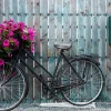 Akustikbild FAHRRAD BLUMENDEKO