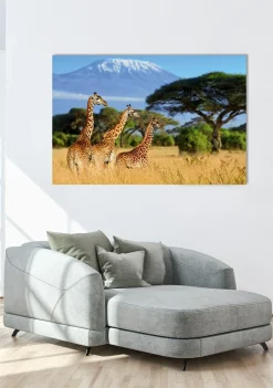 Akustikbild GIRAFFEN