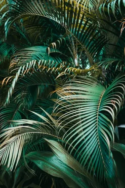 Akustikbild GRÜNE PFLANZEN