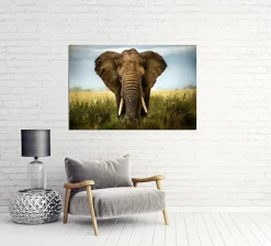 Akustikbild GROßER ELEFANT
