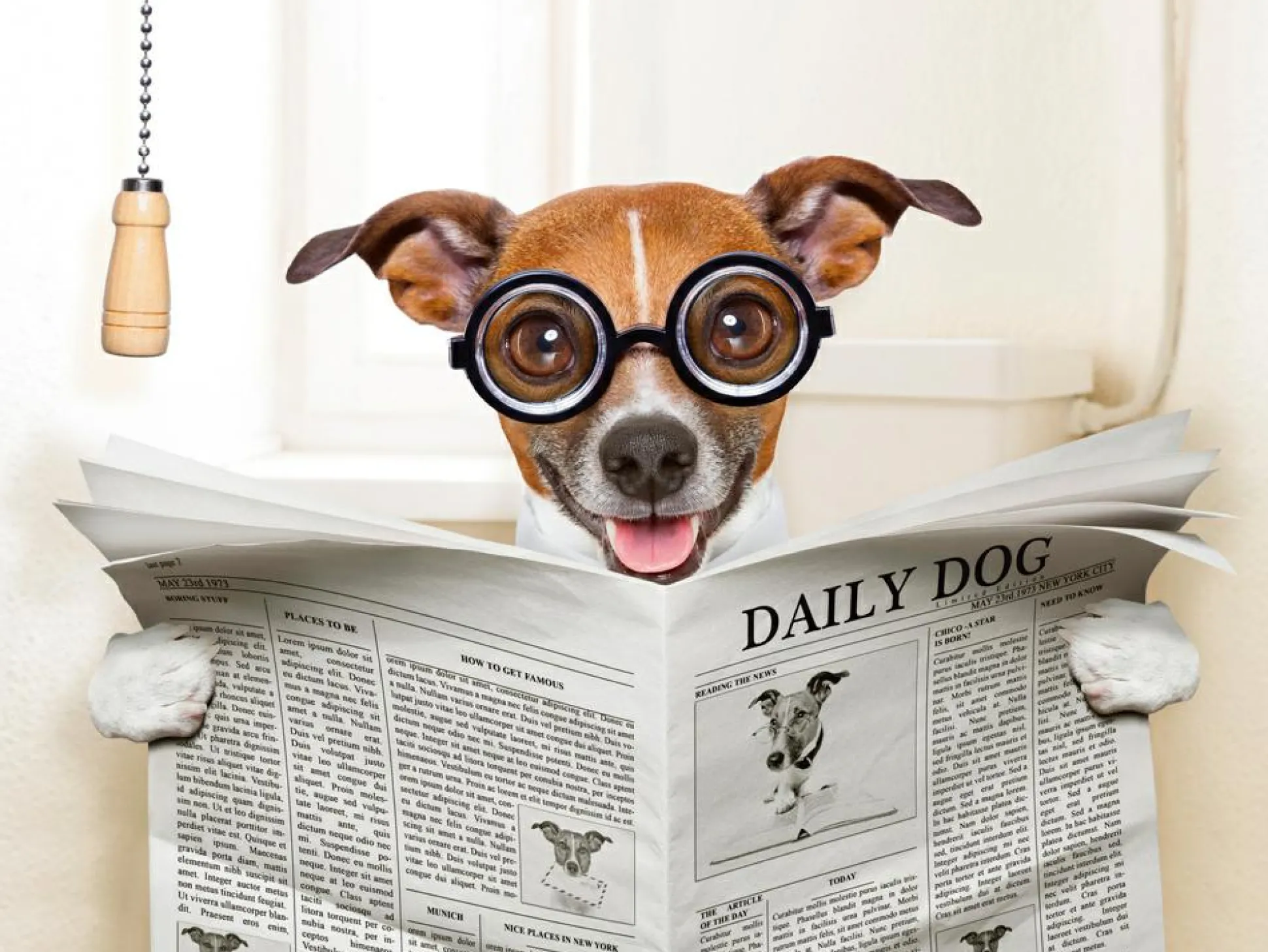 Akustikbild HUND MIT ZEITUNG