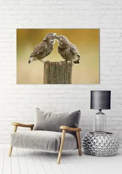 Akustikbild VERLIEBTE KÄUZCHEN