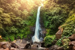 Akustikbild WASSERFALL