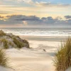Aludibondbild DUNE AT SUNSET