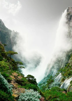 Aludibondbild FOGGY MOUNTAIN