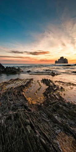 Aludibondbild NATURE MOTIVE I