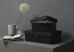 Box L JOOP! CORNFLOWER