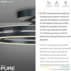 Deckenleuchte PURE LOOP