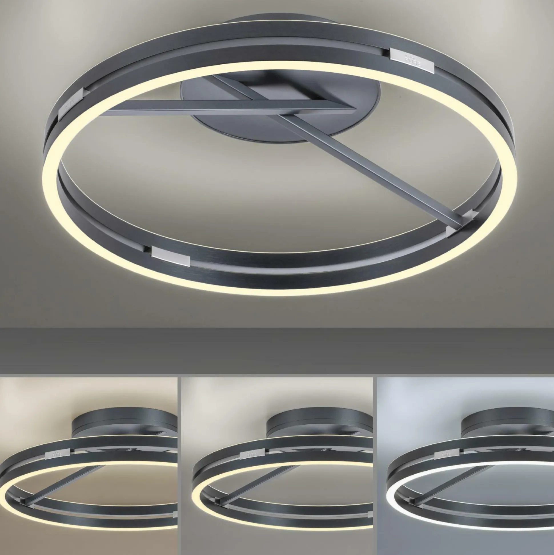 Deckenleuchte PURE LOOP