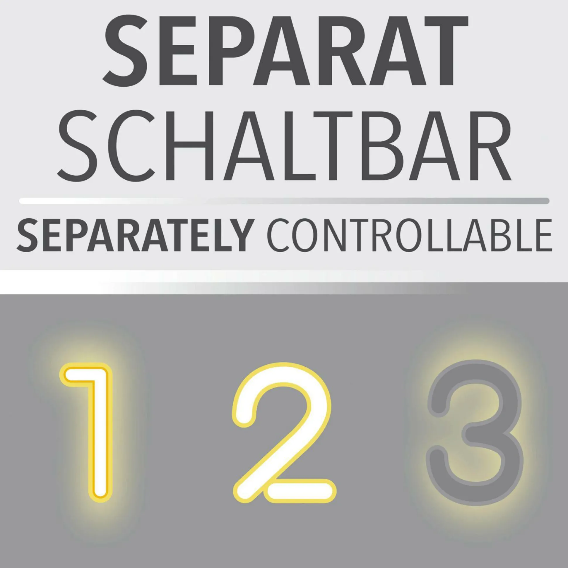 Deckenleuchte PURE LOOP