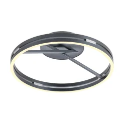 Deckenleuchte PURE LOOP