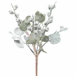 Eucalyptusbusch mit Früchten