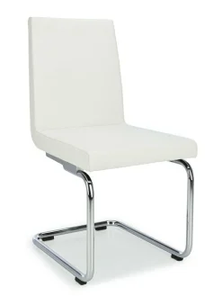 Freischwinger ROLF BENZ 620