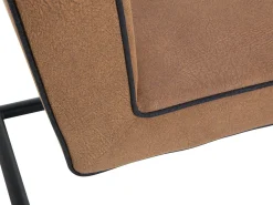 Freischwinger VALMONDO CARPA