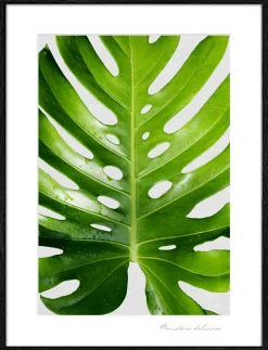 Gerahmtes Bild AN771B25