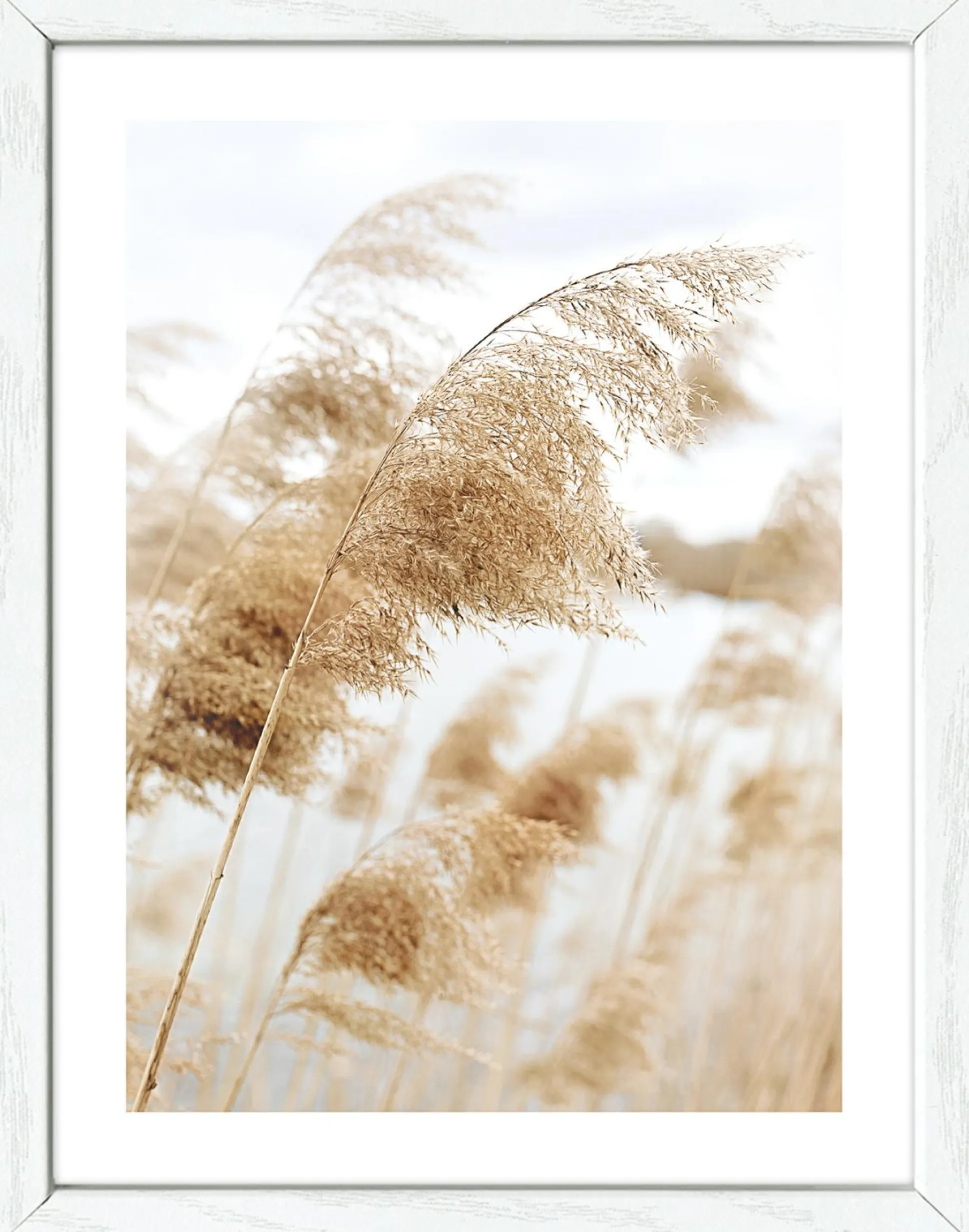 Gerahmtes Bild COAST III