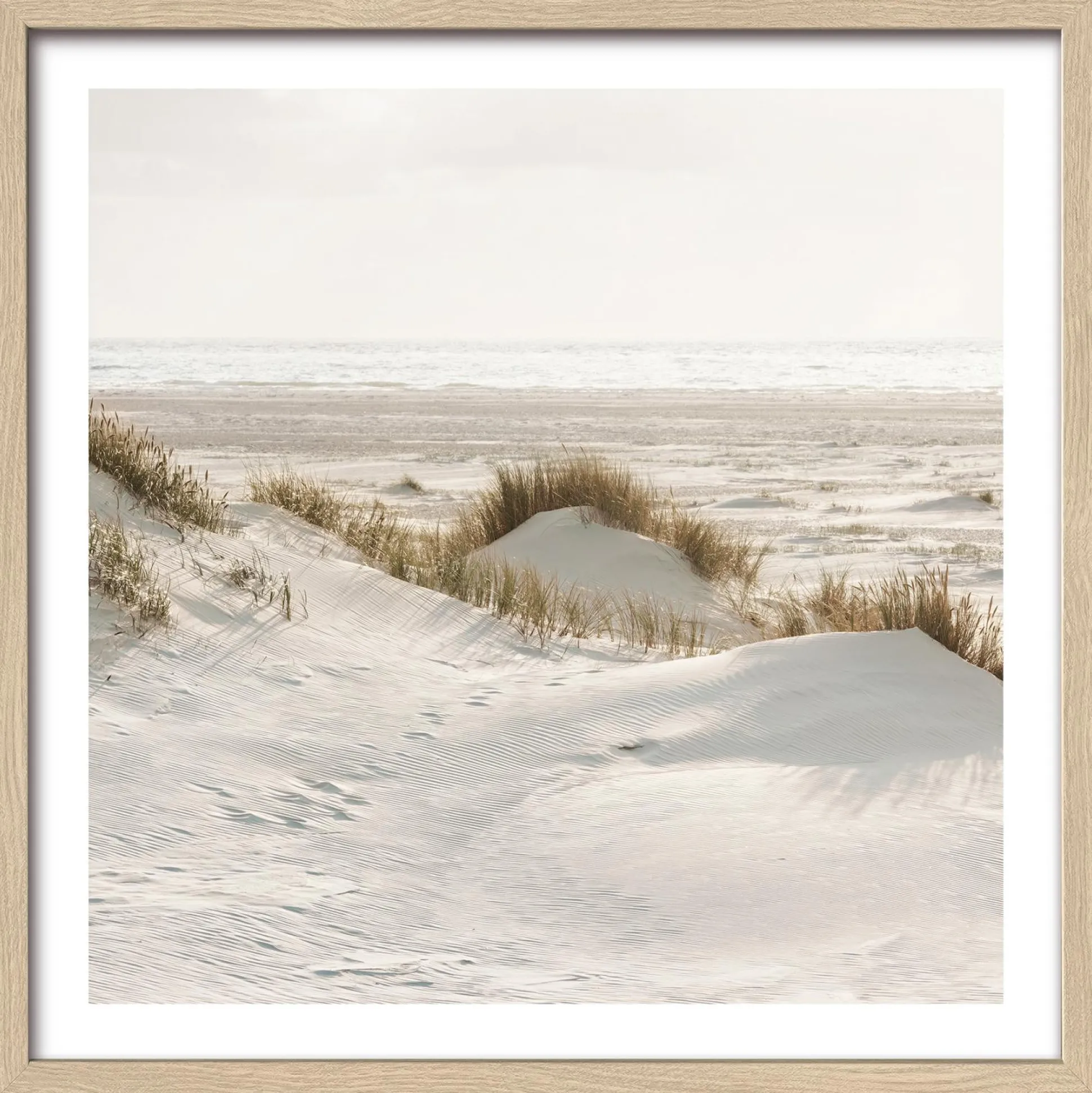 Gerahmtes Bild DRIED FIBER IV