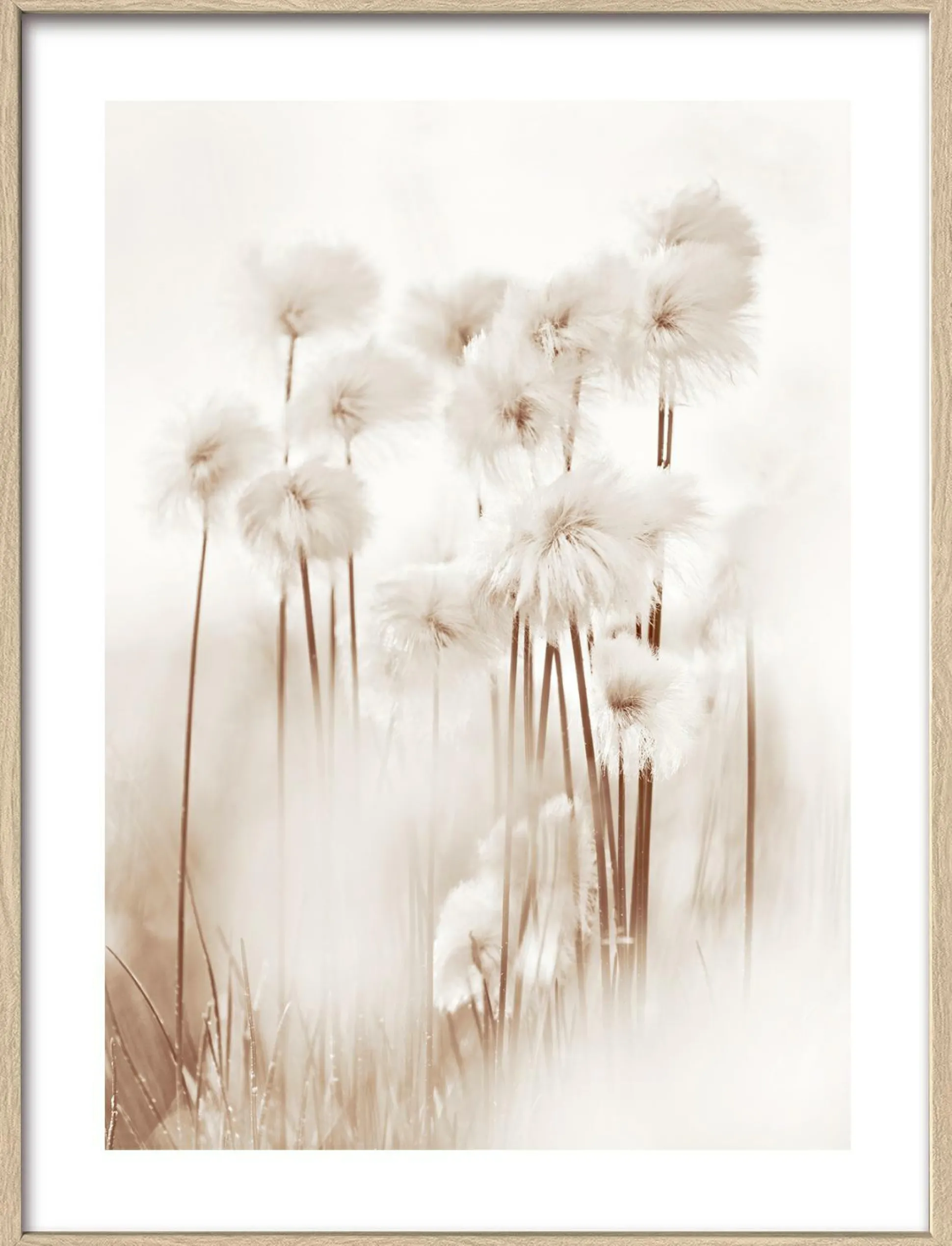 Gerahmtes Bild DRIED FIBER VII