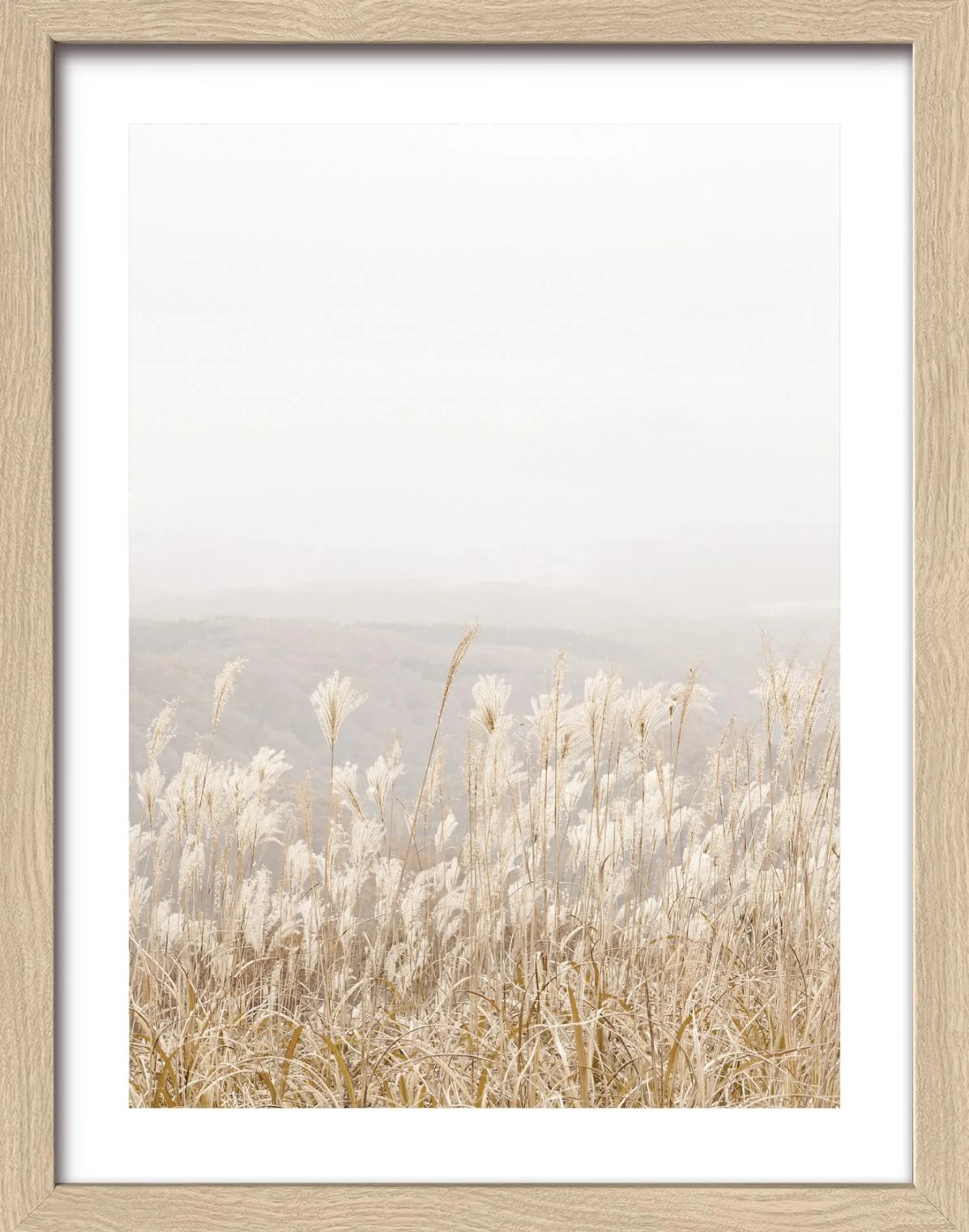 Gerahmtes Bild DRIED FIBER IV