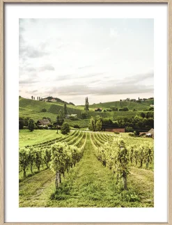 Gerahmtes Bild MEDITERRANEAN