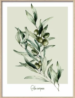 Gerahmtes Bild OLIVEN