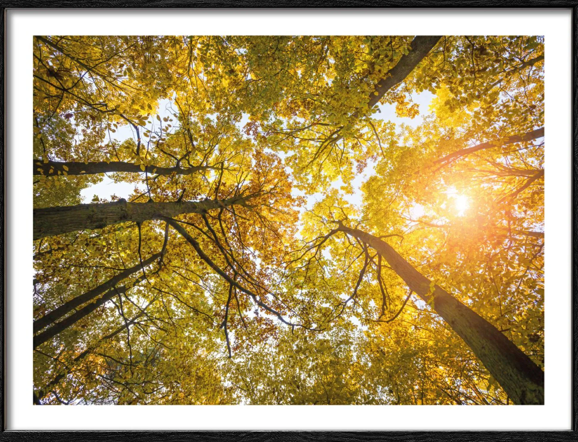 Gerahmtes Bild SUNSHINE IN THE