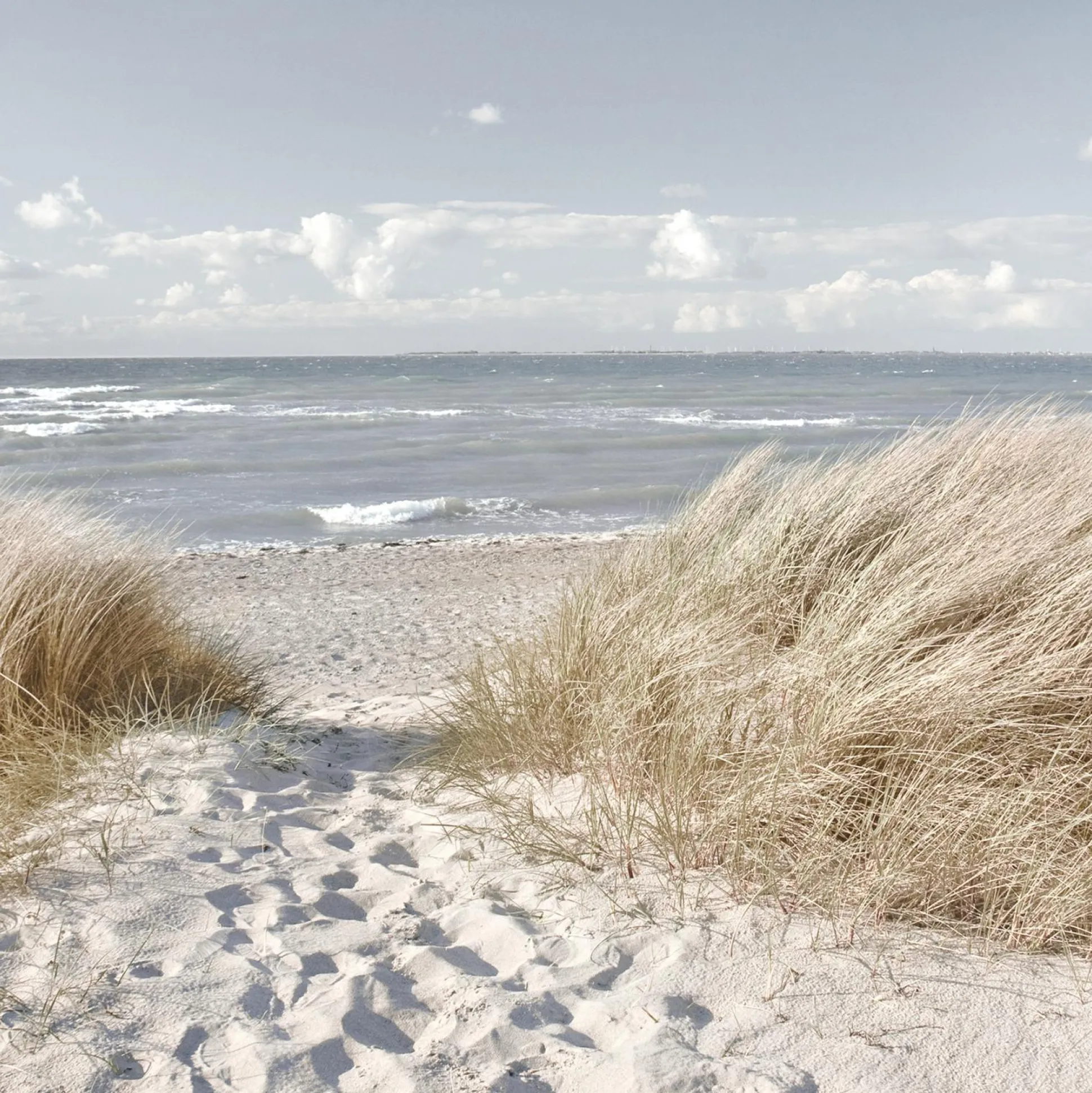 Glasbild OASE DER SINNE I