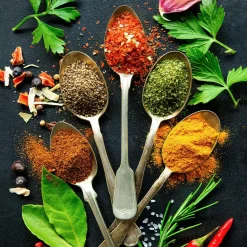 Glasbild VINTAGE HERBAGE II