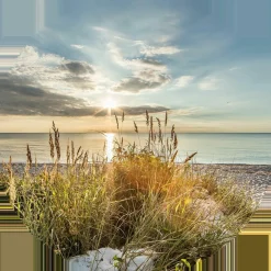 Glasbild WILDER STRAND