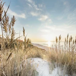 Glasbild WILDER STRAND III