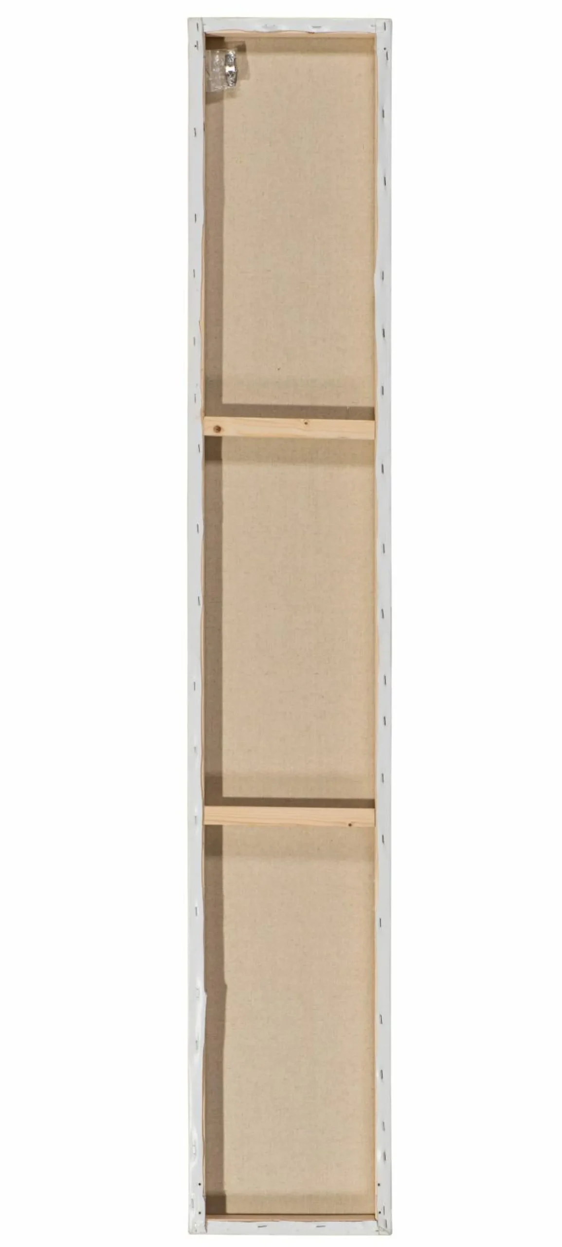 Keilrahmenbild 3 STRAUßE