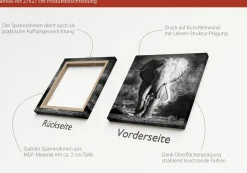 Keilrahmenbild ELEPHANT HEAD