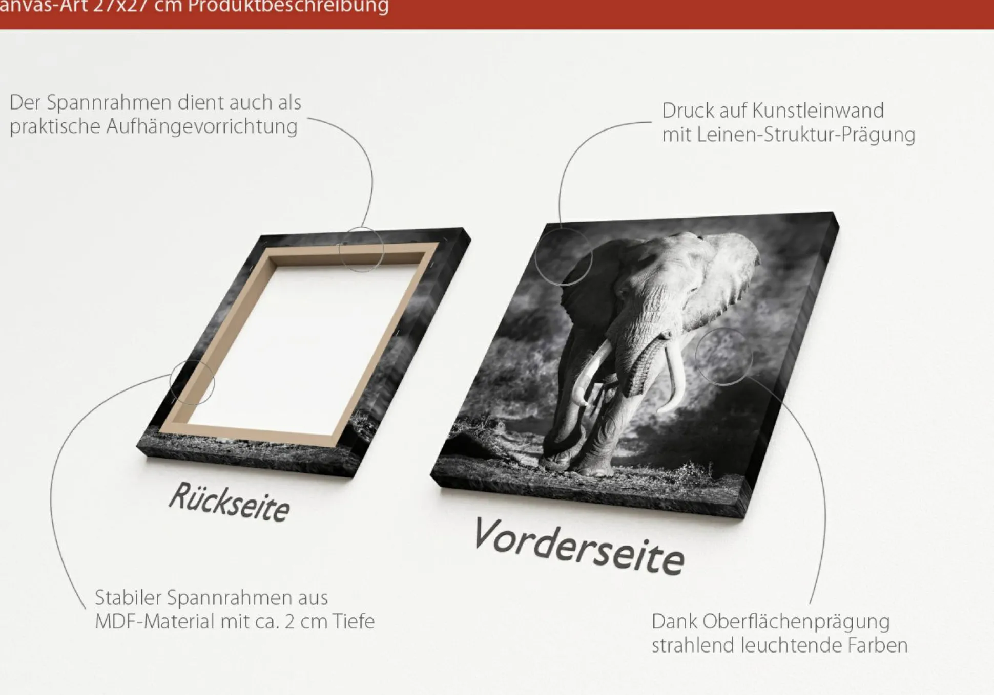 Keilrahmenbild ELEPHANT HEAD