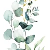 Keilrahmenbild EUCALYPTUS