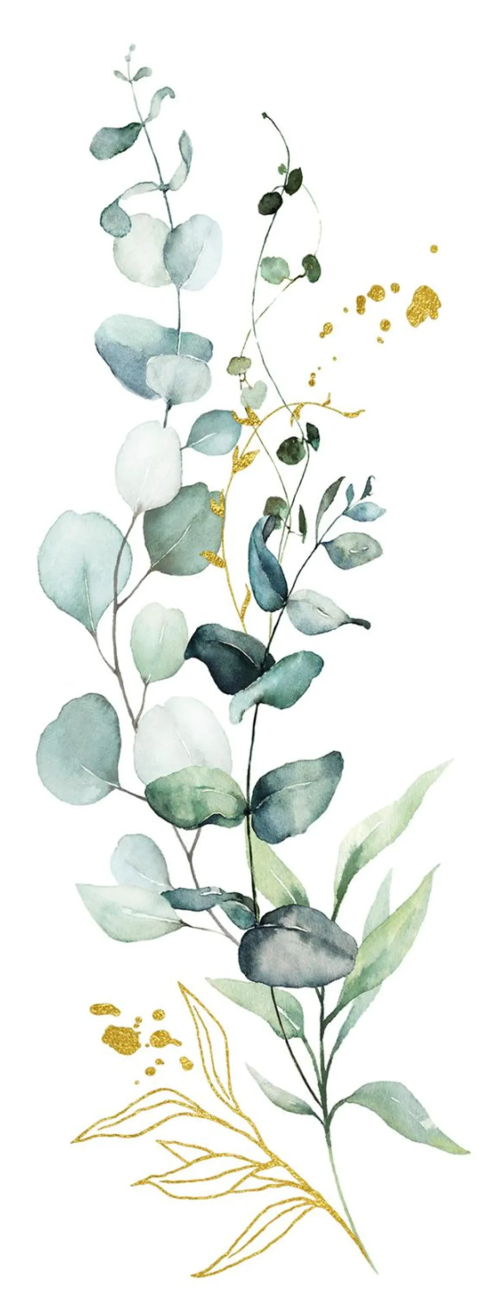 Keilrahmenbild EUCALYPTUS