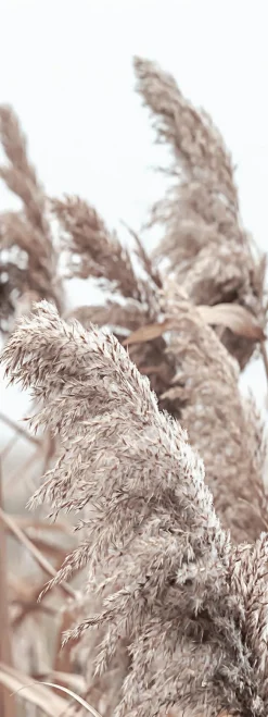 Keilrahmenbild IN THE BREEZE