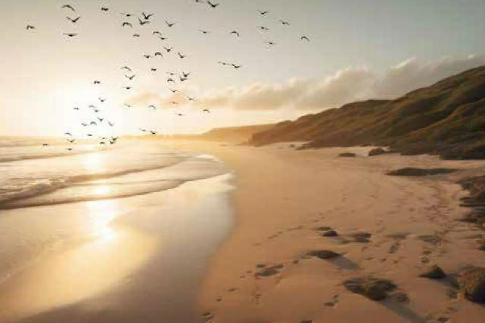 Keilrahmenbild SEA MOOD XI