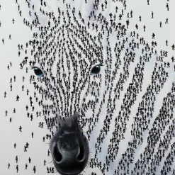 Keilrahmenbild ZEBRA