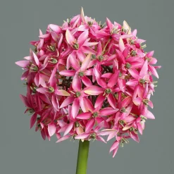 Kunstblume Allium
