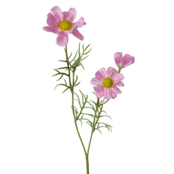 Kunstblume COSMEA