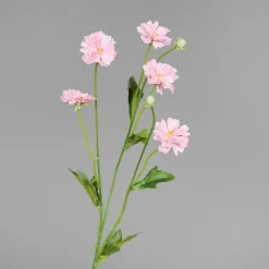 Kunstblume COSMEA