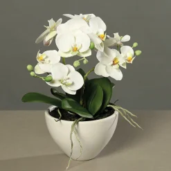 Kunstblume Orchidee