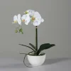 Kunstblume Orchidee