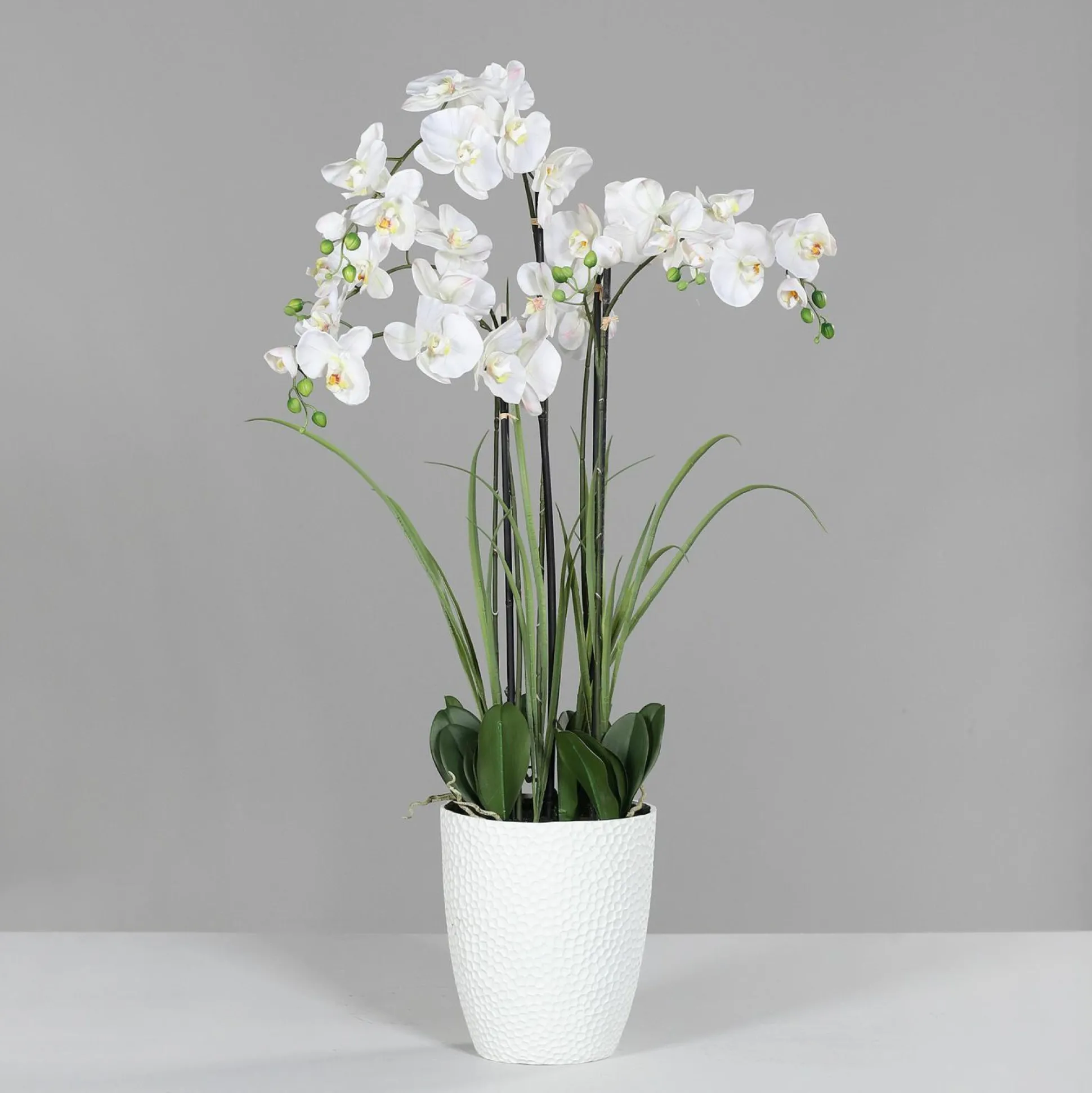 Kunstblume Orchidee