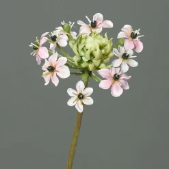 Kunstblume Ornithogalum