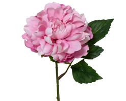 Kunstblume PFINGSTROSE